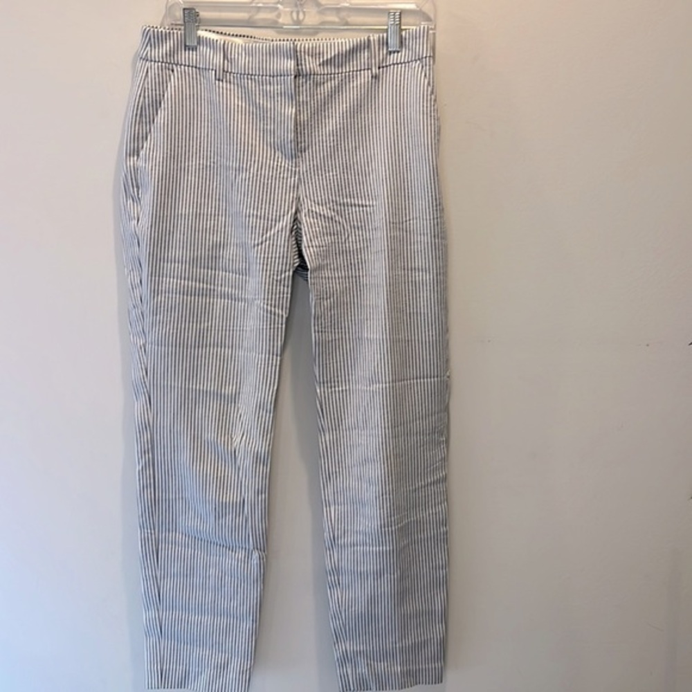 Express Columnist Seersucker striped Pants